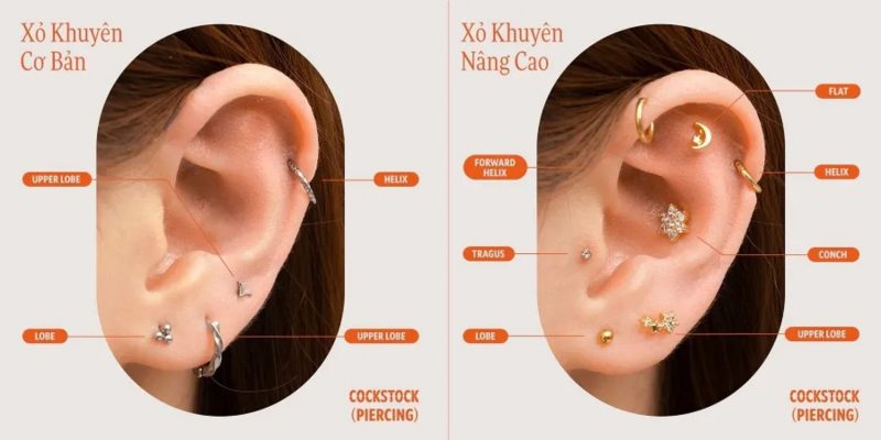 Xỏ Khuyên Tai – Hành Trình Làm Đẹp Cần Biết Rõ Trước Khi Bắt Đầu